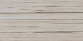 ������ Latte LT03 30x60 ������������