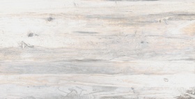 ������ Spanish Wood SP00 60x120 ��������������